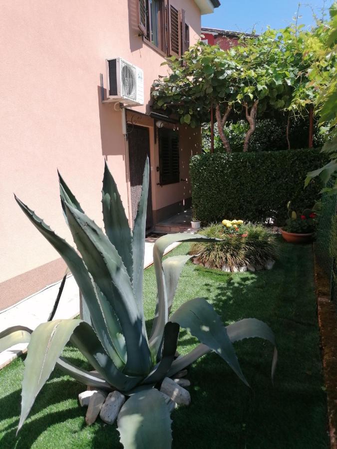 Apartman Bruna Novigrad (Istria) Exterior foto