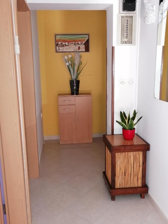 Apartman Bruna Novigrad (Istria) Exterior foto